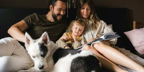 Familienmitglied Hund